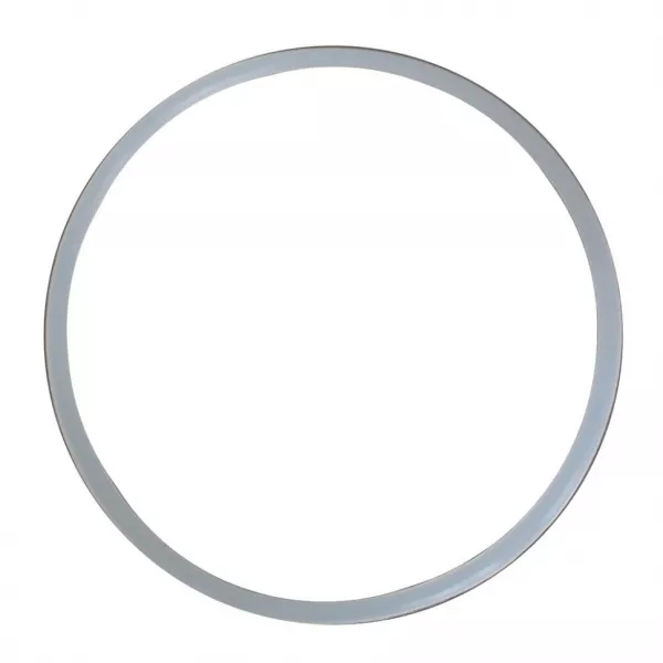 Уплотнительное кольцо 100 мм для ИТА-01/03/05/21/25/29, F9029