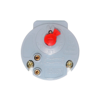 Комплект ТЭН для алюминиевого радиатора (батареи отопления) 300 Вт, правая резьба, нерж, D33, G1", L200мм, 220V + терморегулятор, Р03ТП Комплект ТЭН для алюминиевого радиатора (батареи отопления) 300 Вт, правая резьба, нерж, D33, G1", L200мм, 220V + терморегулятор, Р03ТП